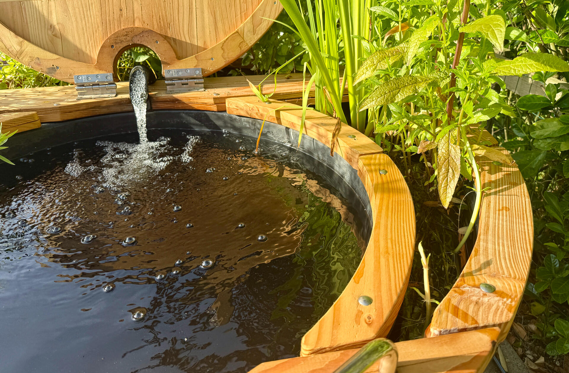 Natural Mini Pool